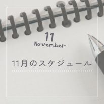 わかるとできるミーツ国分寺校の11月の教室スケジュール